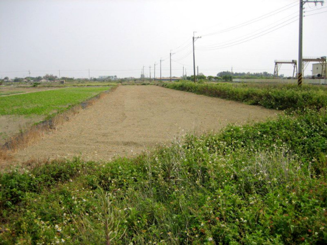 將軍漚汪西甲小段田地