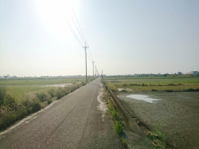 將軍山子腳段田地