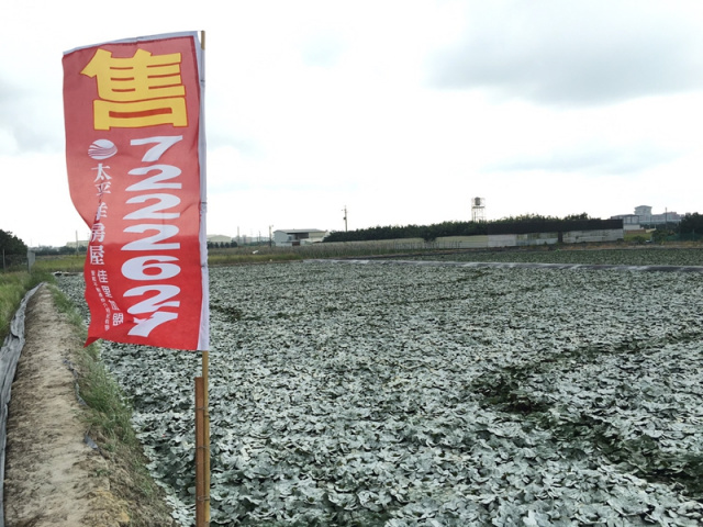 麻豆寮子廍段田地