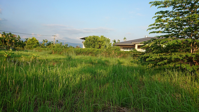 麟洛農田巷都內農地