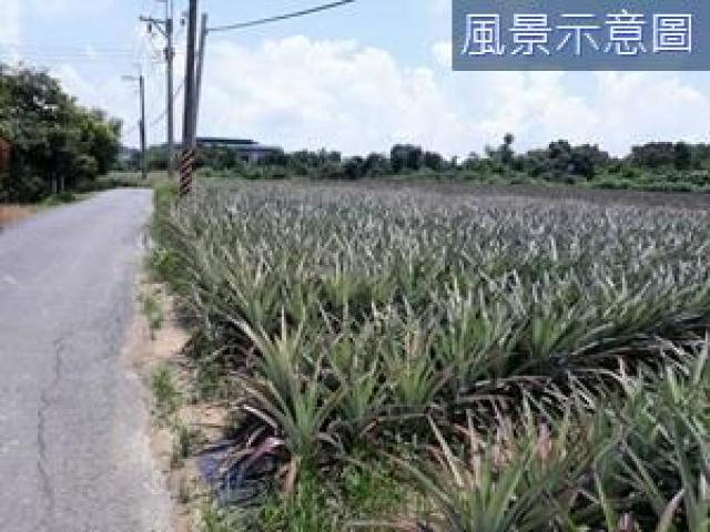 關廟深坑子農地A