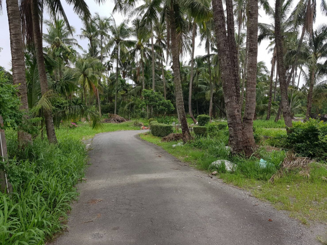 麟洛花房美農地