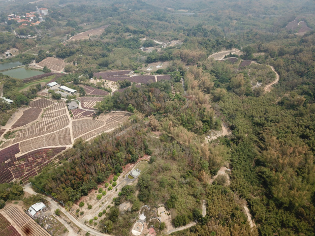 關廟東勢7.8分農地