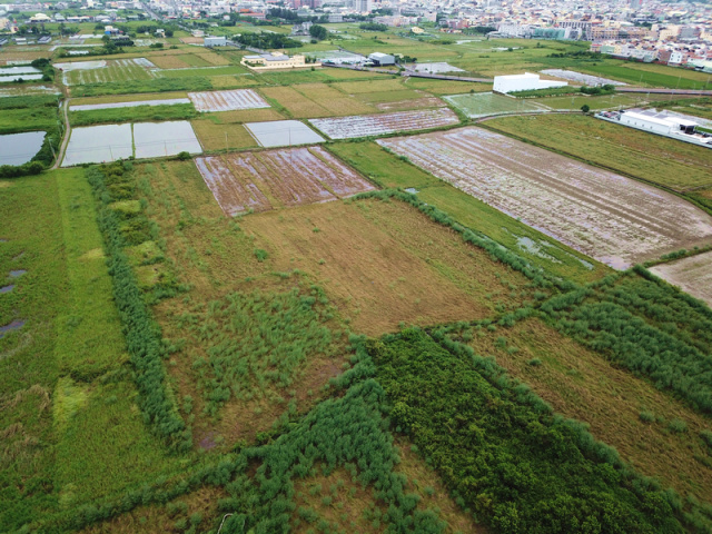 佳里廣安段都計美農地