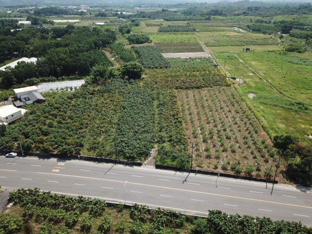 玉井台20線農地