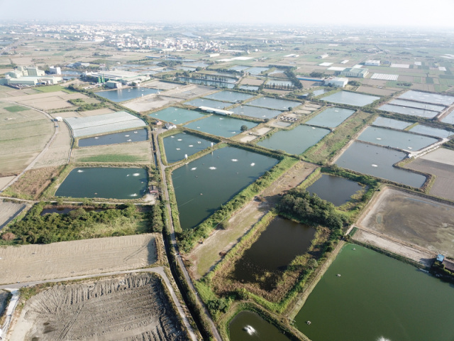 學甲中洲划算農地