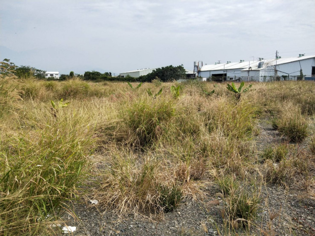 潮州金賺大路邊農地