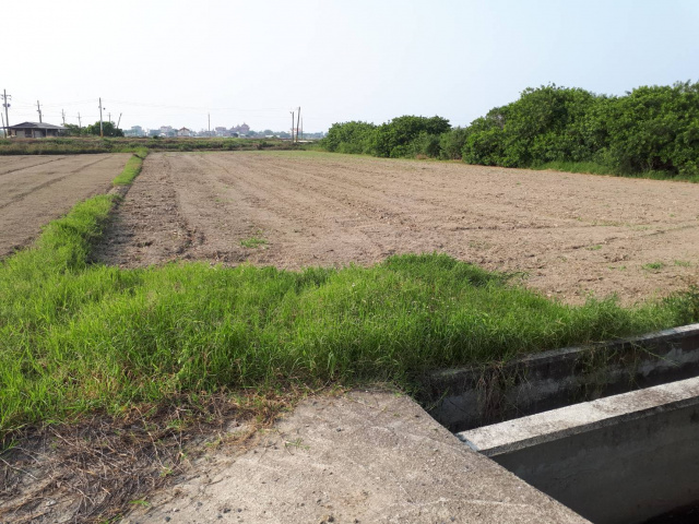 學甲西進段堤防道2分64田地