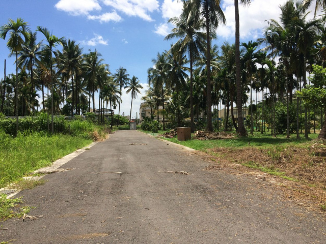 長治老潭頭都計農地 W