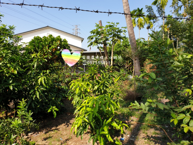 內埔交流道農地1甲2 $220萬/分