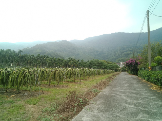 笠頂山休閒農地