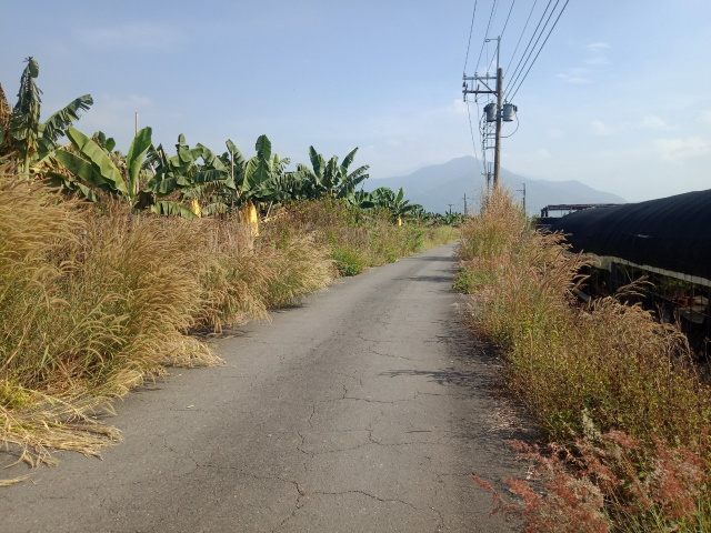 高樹南華大橋農地