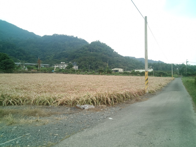 內埔三面路山景美農地