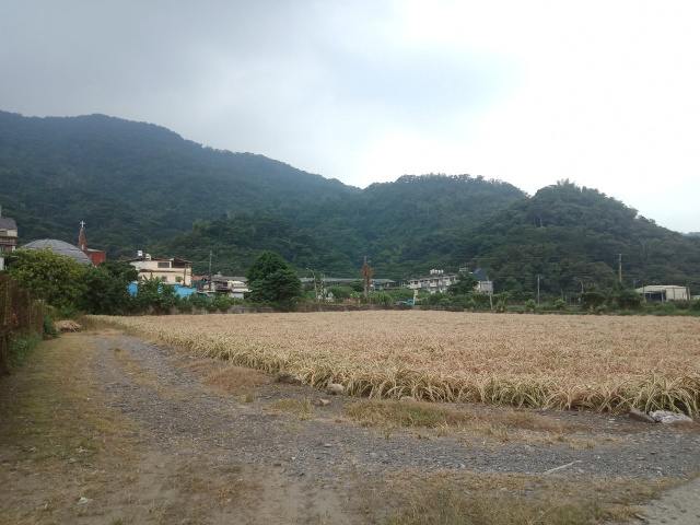 內埔三面路山景美農地