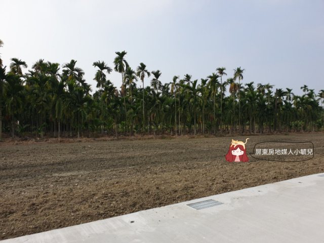 長治全家都計農地 地形方正 無嫌惡