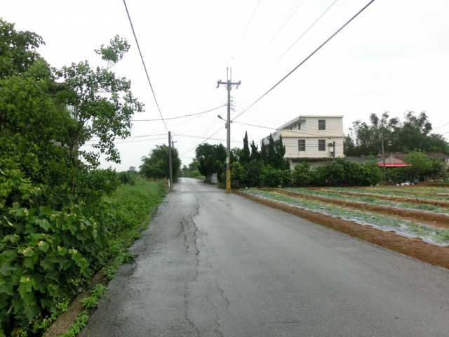 桃園市觀音區(近山東國小)休閒挑高農舍(可做倉庫)