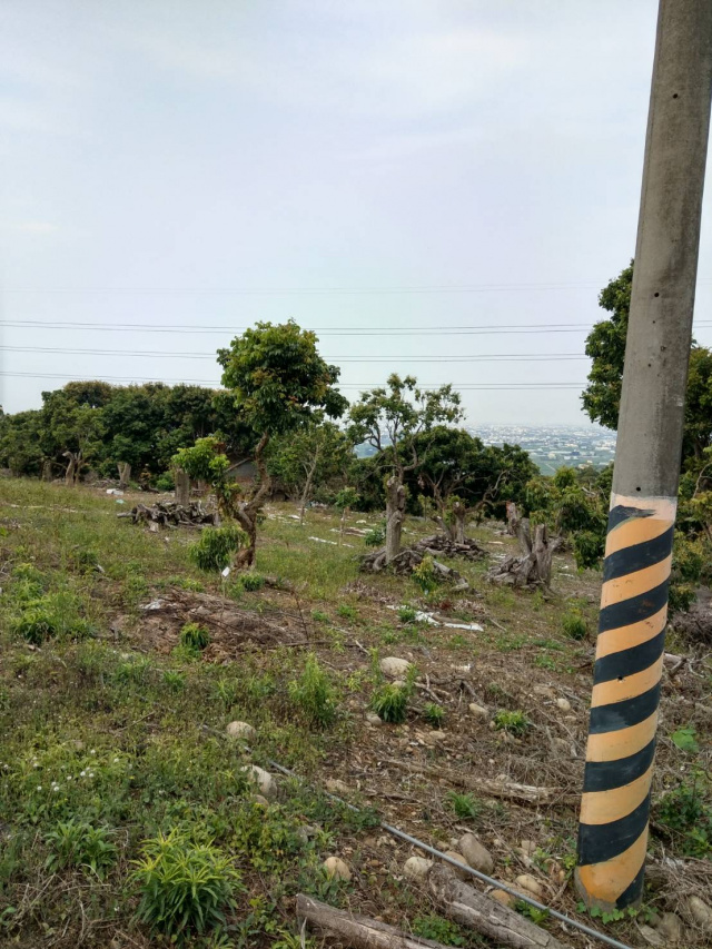 社頭鄉.農地【景觀讚】近員林76東西向.林厝交流道