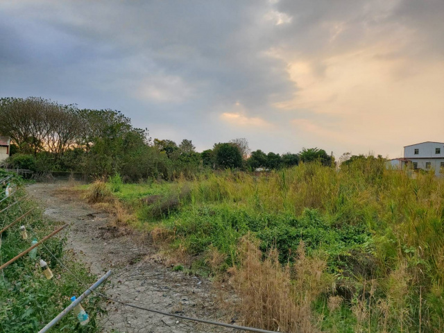 美濃龍肚鄉村田園水農地