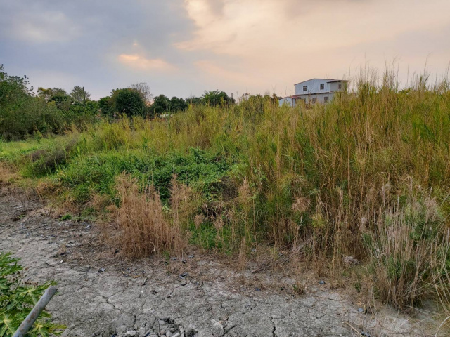 美濃龍肚鄉村田園水農地