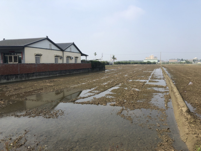 民雄中正大學好收雙面路農地