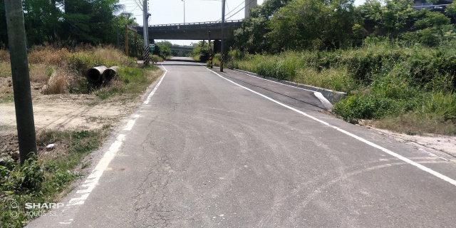 水上三界埔鄉道農地