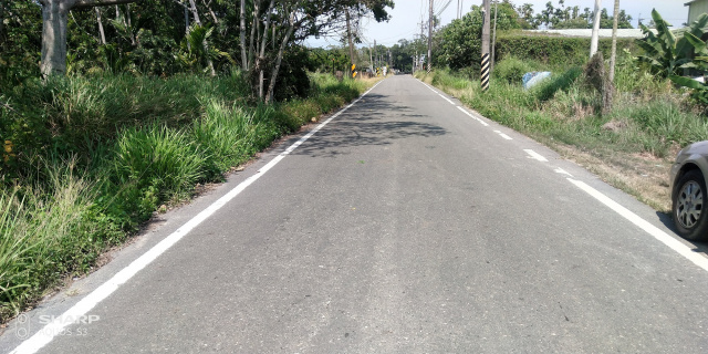 水上三界埔鄉道農地