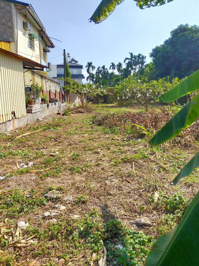 麟洛鄉公所大路旁都計農地